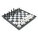 2 in 1 Chess
