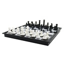 2 in 1 Chess