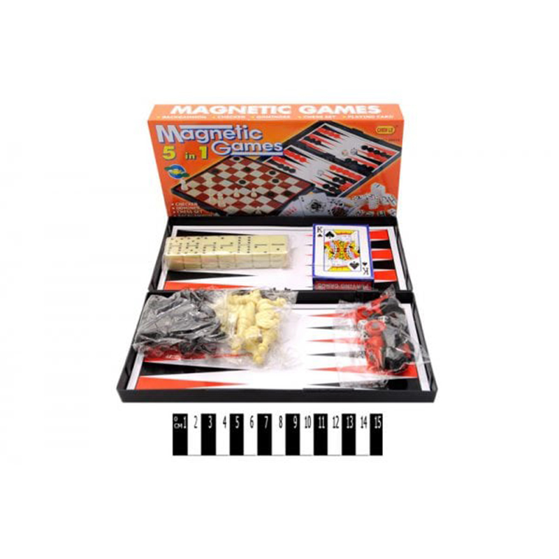 5 in 1 Magnetic Game