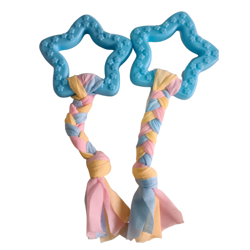 Chew Toys : Rubber Pet Toys (Blue)