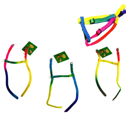Harness Rainbow
