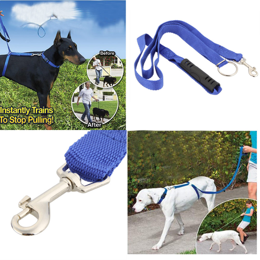 Instant Trainer Leash