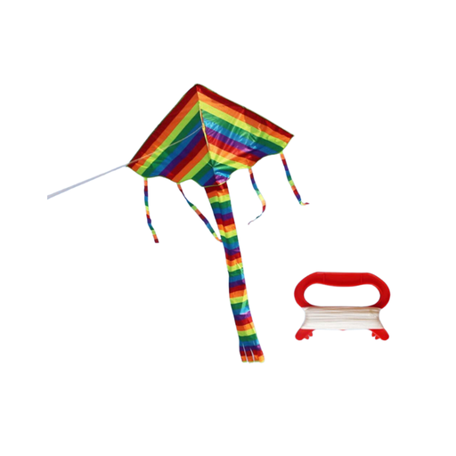 Rainbow Medium Tail Kite