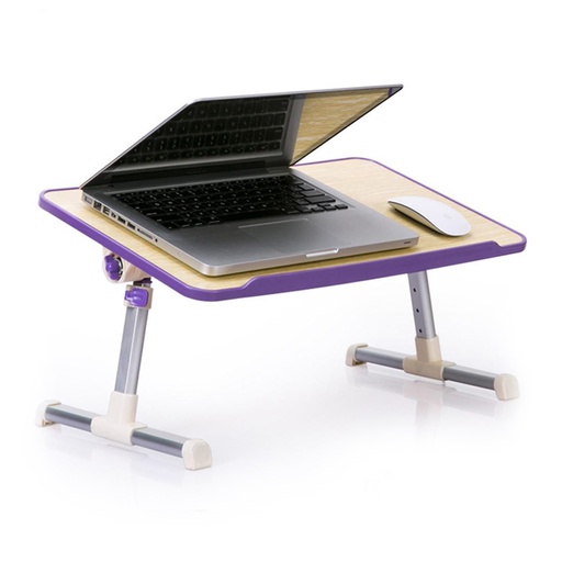 Multifunction E Laptop Desk