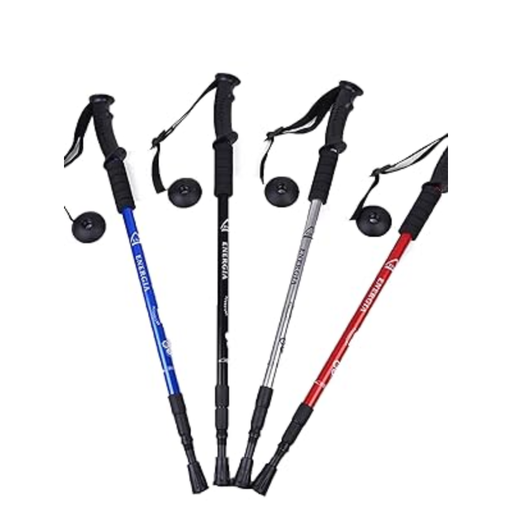Hiking Stick